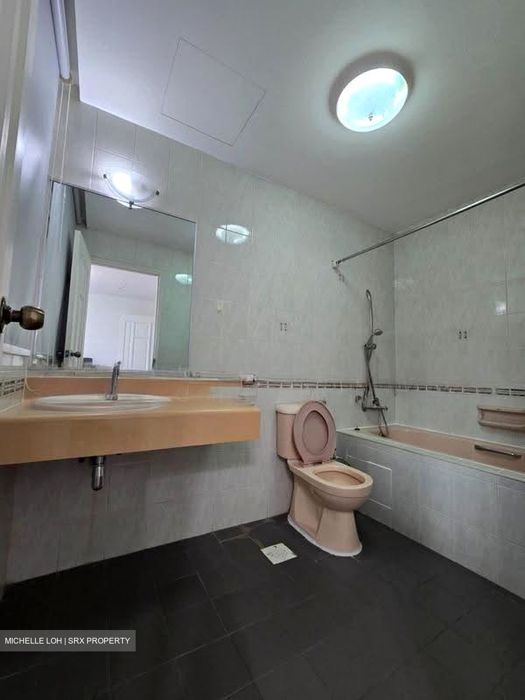 Versailles (D15), Condominium #628848291